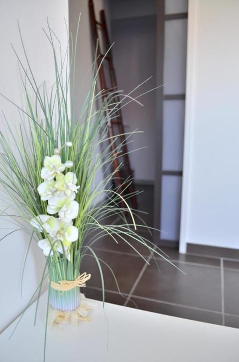 Chambre d'hôte Les Nymphéas Hotel in Wimereux