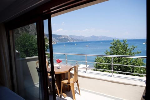 Property view