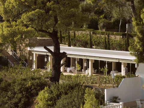 The Danai Resort in Nikiti