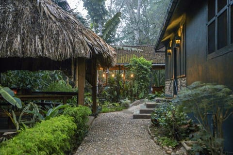 Sweet Songs Jungle Lodge Lodge in Cayo District