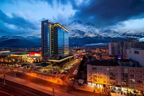 Radisson Blu Hotel Kayseri Hotel in Kayseri