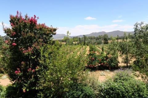 Raptor Rise Farm Farm Stay in Western Cape