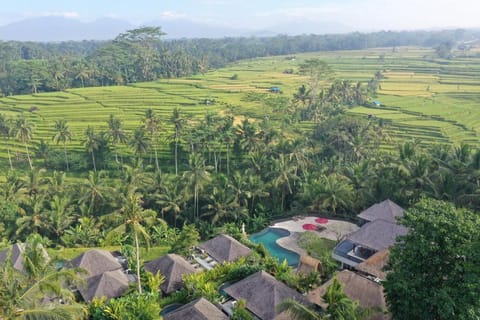 Puri Sebali Resort Ubud Resort in Ubud