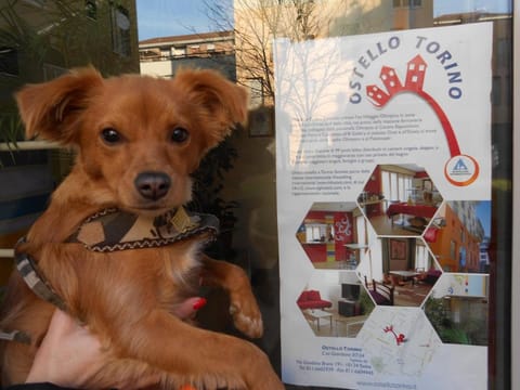 Ostello Torino Hostel in Turin