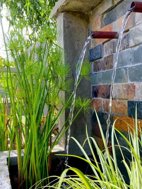 Woodlands Self Catering Bed and Breakfast in Eastern Cape