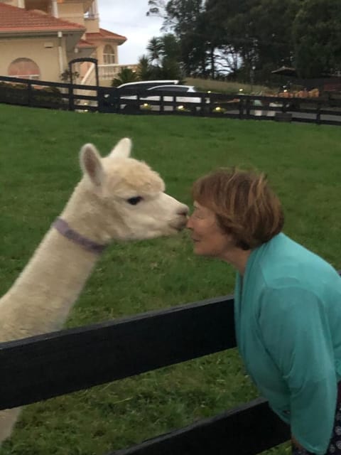 Rua Resort Bed and Breakfast in Hamilton