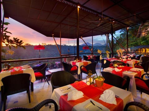 Jungle Retreat by Kupu Kupu Barong Hotel in Abiansemal