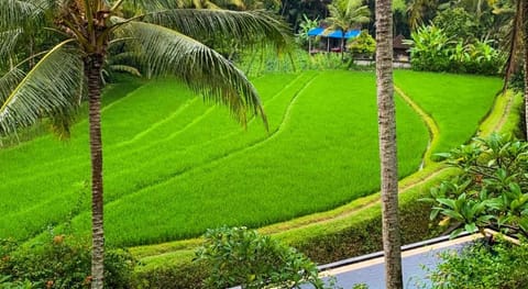 Umasari Rice Terrace Villa by AGATA Villa in Marga