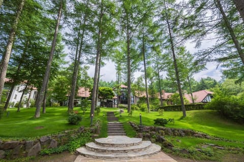 Property view