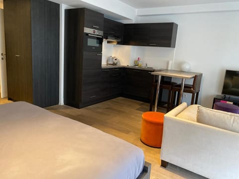 Flat Moliere Apartment in Ixelles