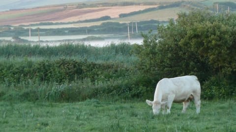 Glencarrig B&B Bed and Breakfast in County Clare