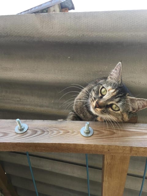 Grange d'Anjeux Bed & Breakfast Bed and Breakfast in Vosges