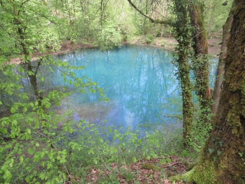 Grange d'Anjeux Bed & Breakfast Bed and Breakfast in Vosges