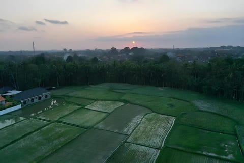 Sila Urip Guest House Bed and Breakfast in Ubud