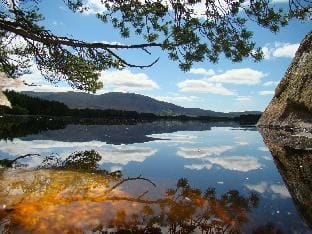 The Boat House Chalet, Boat of Garten, Near Aviemore, Sleeps 6 Chalet in Boat of Garten