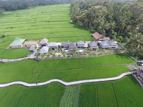 Villa JJ and Spa Ubud Villa in Ubud