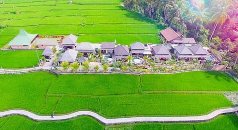 Villa JJ and Spa Ubud Villa in Ubud