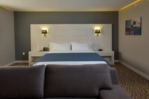 Holiday Inn Express Pachuca By IHG Hotel in Pachuca