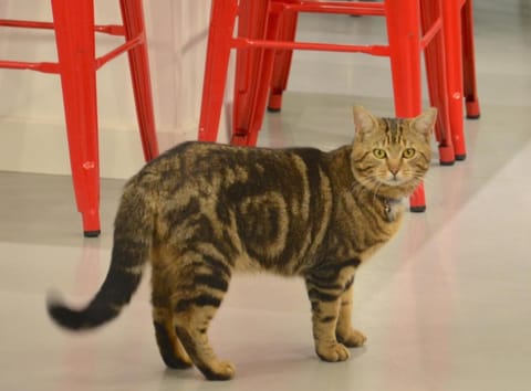 Eklo Hotels Le Mans Hotel in Le Mans