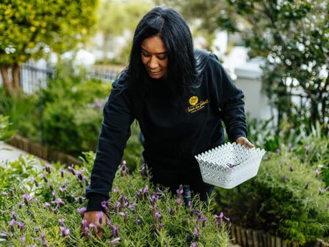 Fleur du Soleil Luxury Guesthouse Bed and Breakfast in Franschhoek