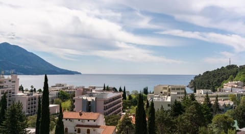 Apartments Evropa Lux Hotel in Budva