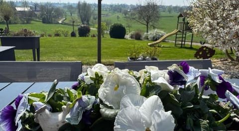 Country House Au Ballet des Hirondelles Apartment in Wallonia, Belgium