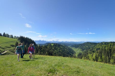 B&B Hotel Peter und Paul Hotel in Canton of Lucerne