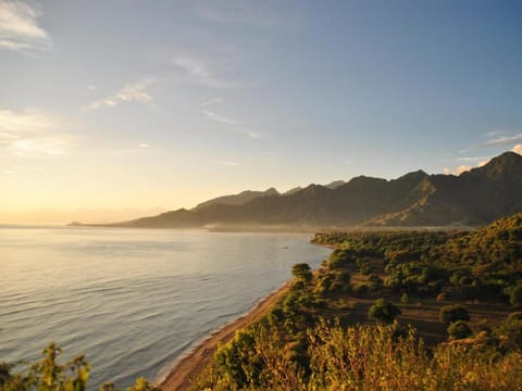 Tiara Homestay Pemuteran Bali Bed and Breakfast in Bali