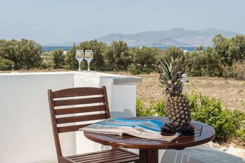 Naxian Serenity Suites Apartment in Naxos, Naxos and Lesser Cyclades, Greece