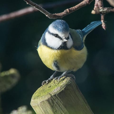L'Heure Bleue gîtes et chambres d'hôtes Bed and Breakfast in Hauts-de-France