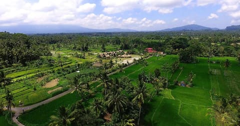 De Klumpu Bali Eco Tradi Stay Resort in Karangasem Regency