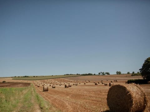 Cozy chalet in Ponchel with pond Vacation rental in Hauts-de-France