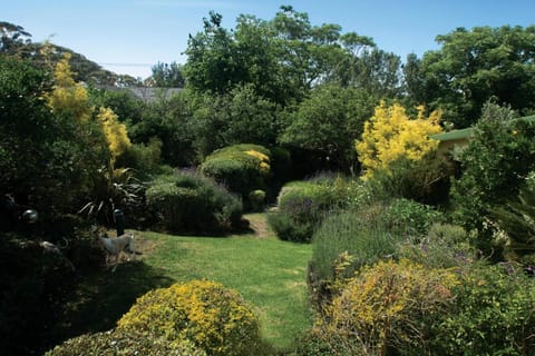 Villa Pascal Guest House Bed and Breakfast in Cape Town