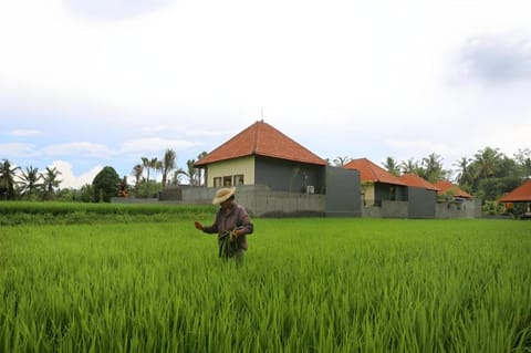 Asri Sari Villa Ubud Villa in Sukawati