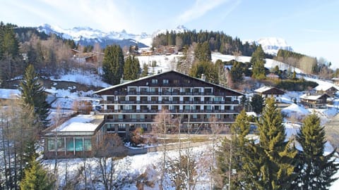 Residence & Spa La Grande Cordée Vacation rental in Combloux