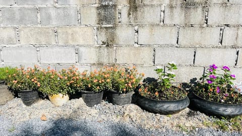 New Klong Khong Garden Resort in Sala Dan