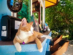 Koh Tao Thani Resort Vacation rental in Ko Tao