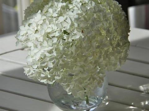 Rectory Farm Annexe Bed and Breakfast in South Kesteven District