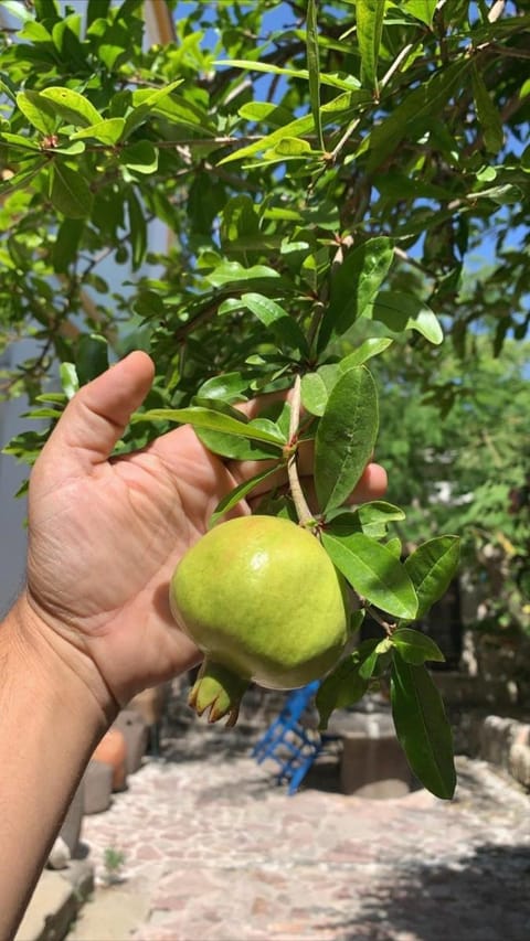 Sakli Konak Vacation rental in İzmir Province