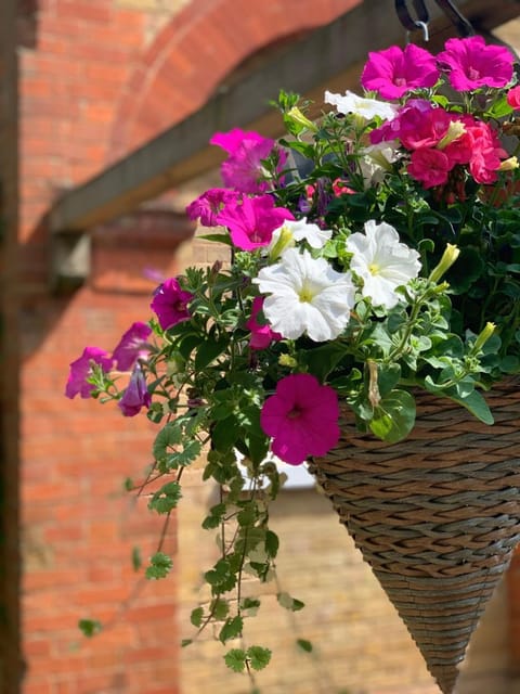 Badgemore Park Bed and Breakfast in Henley-on-Thames