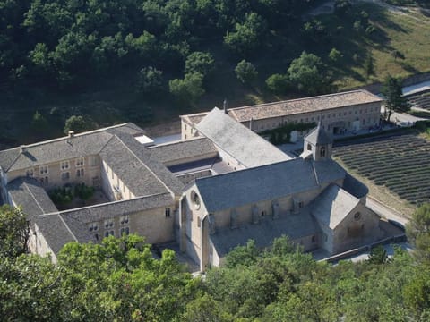 Le Mazet Du Domaine Vacation rental in Gordes