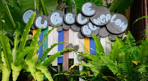 Bubble Bungalow Resort in Ko Tao