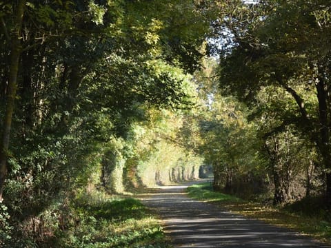 La Pénesais Vacation rental in Centre-Val de Loire