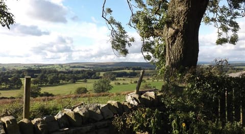 Hillis Close Farm Cottage Vacation rental in England