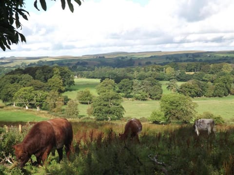 Hillis Close Farm Cottage Vacation rental in England