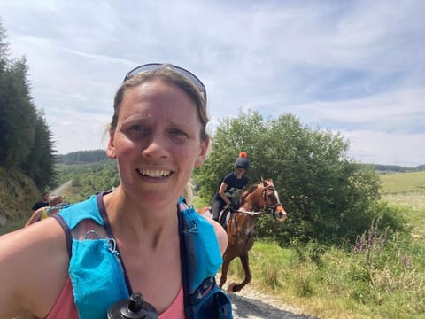 Bronfelin & Troed-y-Rhiw Holiday Cottage Vacation rental in Treflys