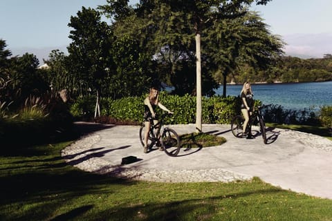 Menjangan Dynasty Resort Luxury tent in Bali