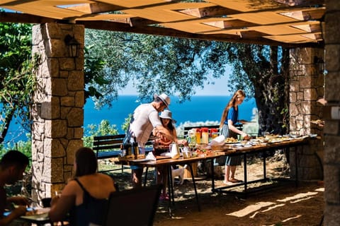 Holiday Park Olive Tree Campground/ 
RV Resort in Ulcinj