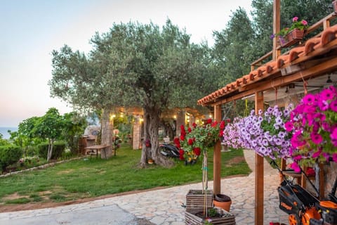 Holiday Park Olive Tree Campground/ 
RV Resort in Ulcinj