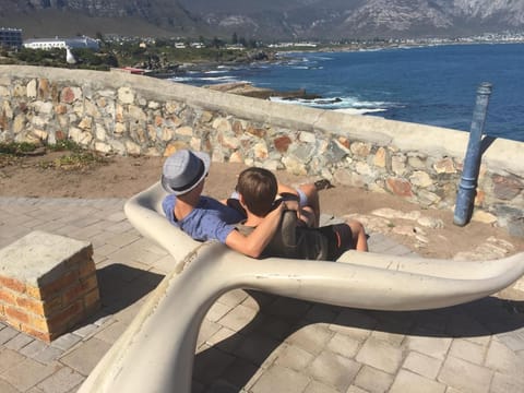 Beautiful Abalone Bed and Breakfast in Hermanus